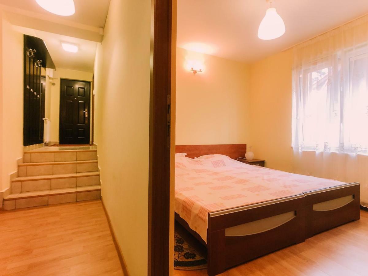 Spacious Apartment Near Peles Sinaia Exterior foto
